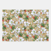 Amaryllis, Holly & Doves Geschenkpapier Set (Vorderseite 3)
