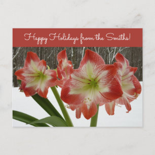 Amaryllis im Schnee Rote Feiertags-Winterblumen Feiertagspostkarte