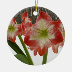 Amaryllis im Schnee Rote Feiertags-Winterblumen Keramikornament
