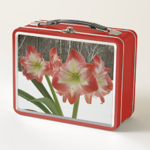 Amaryllis im Schnee Rote Feiertags-Winterblumen Metall Brotdose