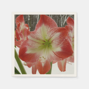 Amaryllis im Schnee Rote Feiertags-Winterblumen Serviette
