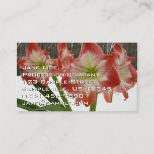 Amaryllis im Schnee Rote Feiertags-Winterblumen Visitenkarte