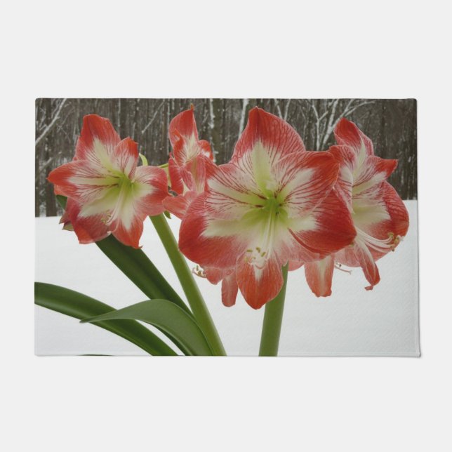 Amaryllis im schneeroten Urlaub Winterflora Fußmatte (Vorderseite)