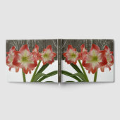 Amaryllis im schneeroten Urlaub Winterflora Gästebuch (Voll)