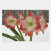 Amaryllis im schneeroten Urlaub Winterflora Geschenkpapier Set (Vorderseite)