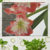 Amaryllis im schneeroten Urlaub Winterflora Geschirrtuch (Gefaltet)