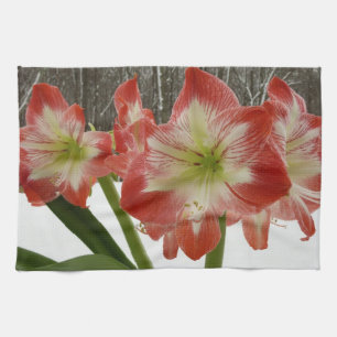 Amaryllis im schneeroten Urlaub Winterflora Geschirrtuch