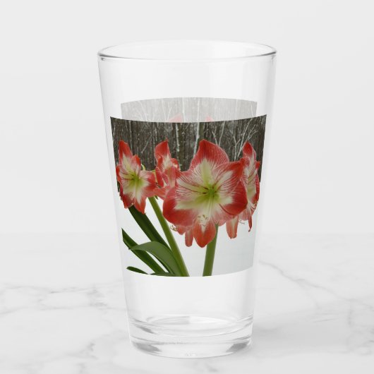 Amaryllis im schneeroten Urlaub Winterflora Glas (Vorderseite)