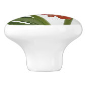 Amaryllis im schneeroten Urlaub Winterflora Keramikknauf (Seitenansicht)