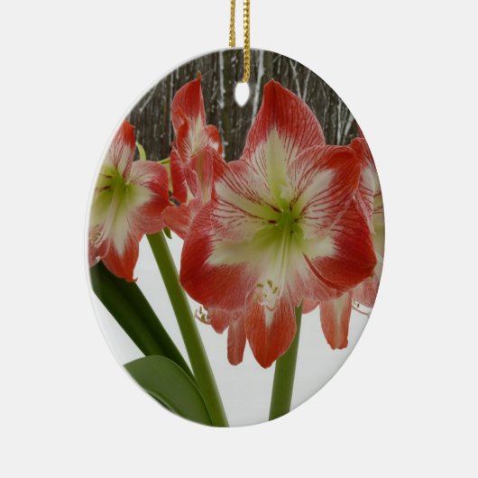 Amaryllis im schneeroten Urlaub Winterflora Keramikornament (Rechts)