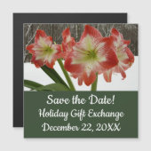 Amaryllis im schneeroten Urlaub Winterflora Magnetkarte (Vorne/Hinten)