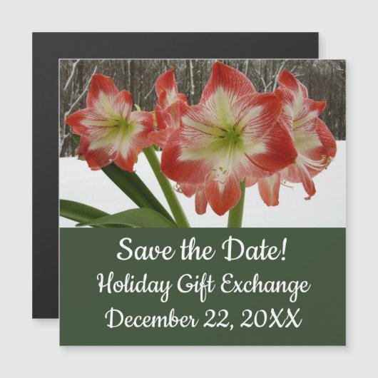 Amaryllis im schneeroten Urlaub Winterflora Magnetkarte (Vorne/Hinten)