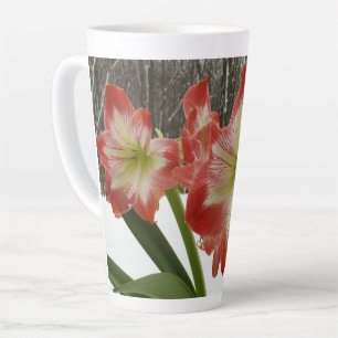 Amaryllis im schneeroten Urlaub Winterflora Milchtasse