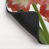 Amaryllis im schneeroten Urlaub Winterflora Mousepad (Ecke)