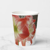 Amaryllis im schneeroten Urlaub Winterflora Pappbecher (Rückseite)
