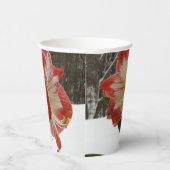 Amaryllis im schneeroten Urlaub Winterflora Pappbecher (Rechts)