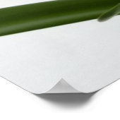 Amaryllis im schneeroten Urlaub Winterflora Poster (Ecke)