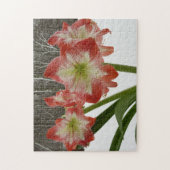 Amaryllis im schneeroten Urlaub Winterflora Puzzle (Vertikal)