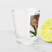 Amaryllis im schneeroten Urlaub Winterflora Schnapsglas (Links)