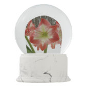 Amaryllis im schneeroten Urlaub Winterflora Schneekugel (Rückseite)