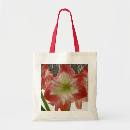 Amaryllis im schneeroten Urlaub Winterflora Tragetasche (Vorne)