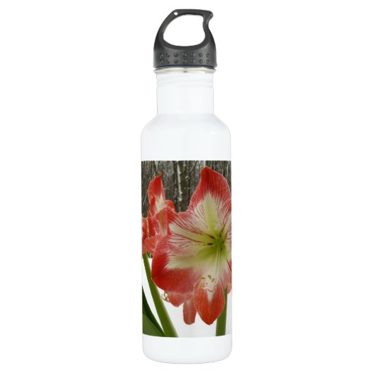 Amaryllis im schneeroten Urlaub Winterflora Trinkflasche (Vorderseite)
