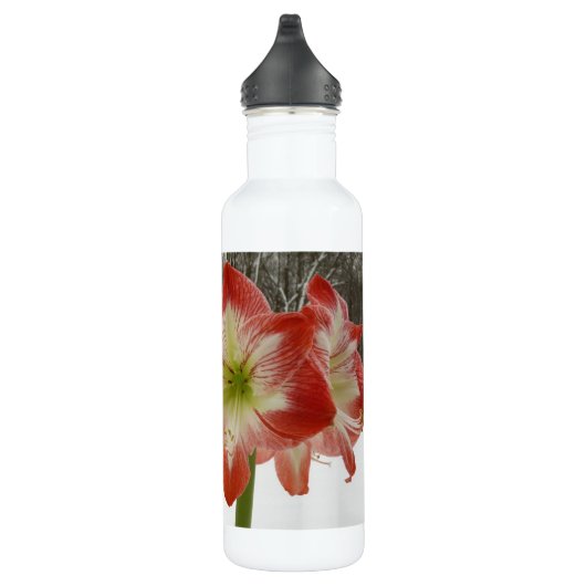 Amaryllis im schneeroten Urlaub Winterflora Trinkflasche (Rechts)
