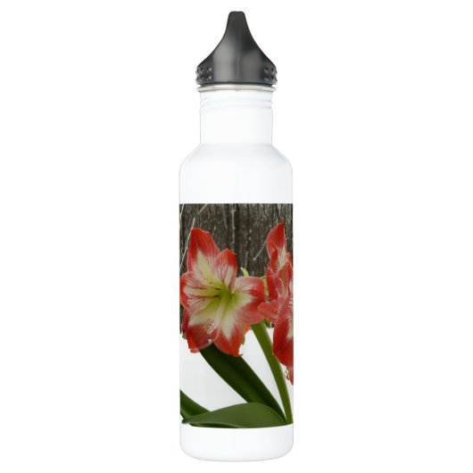 Amaryllis im schneeroten Urlaub Winterflora Trinkflasche (Links)