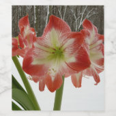 Amaryllis im schneeroten Urlaub Winterflora Weinetikett (Einzelnes Label)