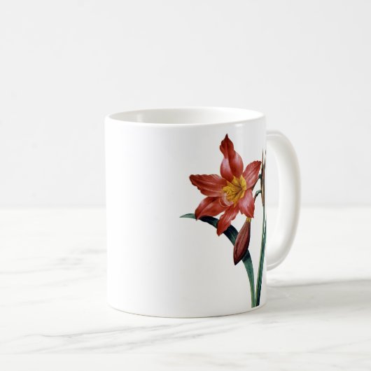 Amaryllis Kaffeetasse (VorderseiteRechts)