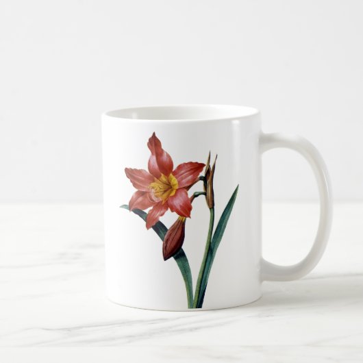 Amaryllis Kaffeetasse (Rechts)