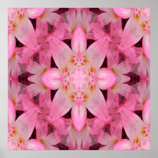 Amaryllis Liebe... Poster (Vorne)