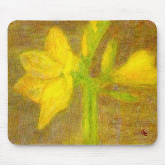 Amaryllis, Mousepad (Vorne)