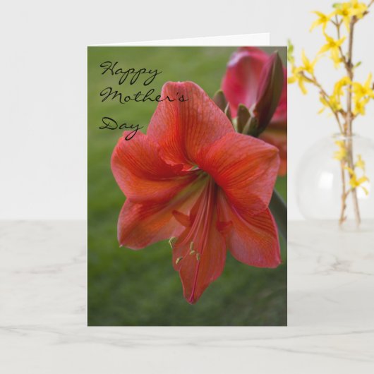 Amaryllis-Muttertag Karte (Gelbe Blume)