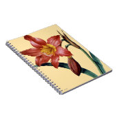 Amaryllis Notizblock (Rechte Seite)