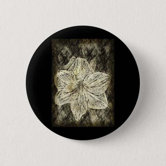 Amaryllis Old Time Sketch Button (Vorderseite)