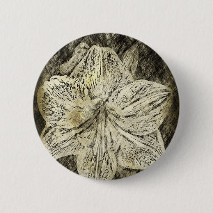 Amaryllis Old Time Sketch Button