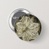 Amaryllis Old Time Sketch Button (Vorne & Hinten)