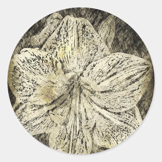 Amaryllis Old Time Sketch Runder Aufkleber (Vorderseite)