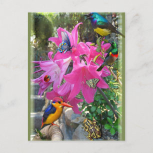 Amaryllis-Party Einladungspostkarte