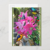 Amaryllis-Party Einladungspostkarte (Vorne/Hinten)