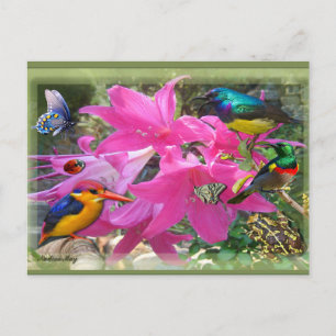 Amaryllis-Party Einladungspostkarte