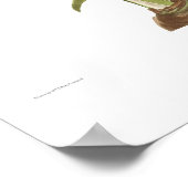 Amaryllis picta poster (Ecke)