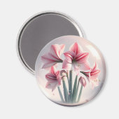 Amaryllis Pink Weiße Blume Magnet (Vorderseite/Rückseite)