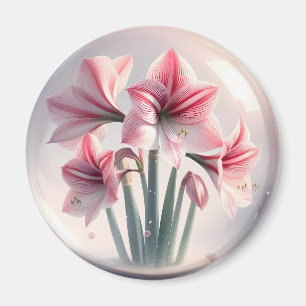 Amaryllis Pink Weiße Blume Magnet