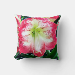 Amaryllis pinkfarbig, sanfte Blume Kissen