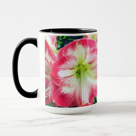 Amaryllis pinkfarbig, sanfte Blume Tasse (Links)