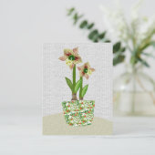 Amaryllis Postcard Postkarte (Stehend Vorderseite)