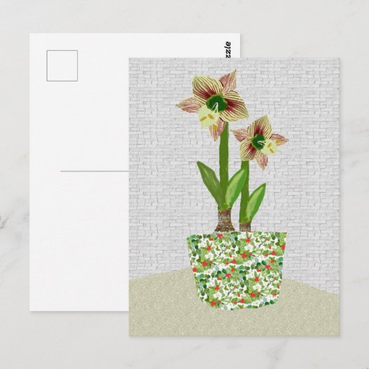 Amaryllis Postcard Postkarte (Vorne/Hinten)