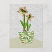 Amaryllis Postcard Postkarte (Vorderseite)